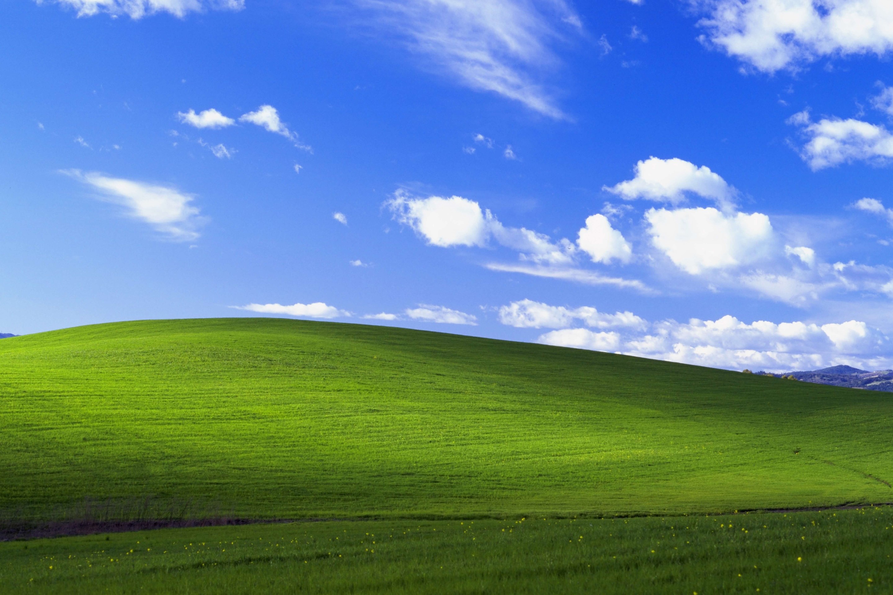 Windows XP background image